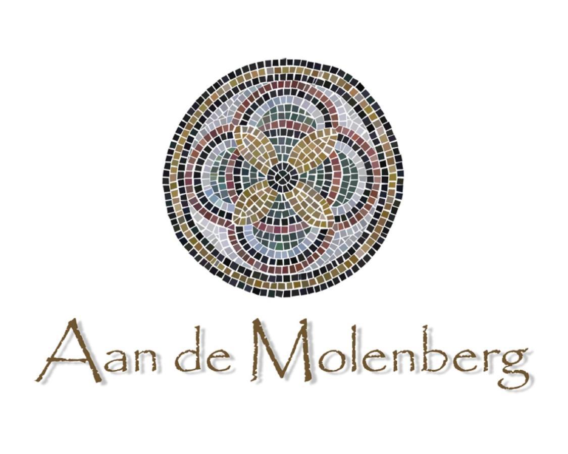 مبيت وإفطار بوكهاوْسِن Aan De Molenberg المظهر الخارجي الصورة